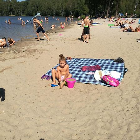 Pension Druhy Domov Novy Bor Bagian luar foto