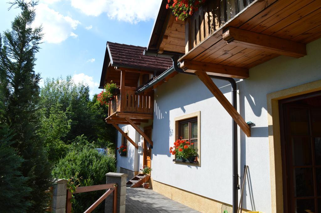 Pension Druhy Domov Novy Bor Bagian luar foto